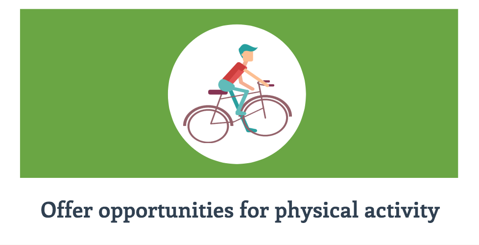 offer-opportunities-for-physical-activity