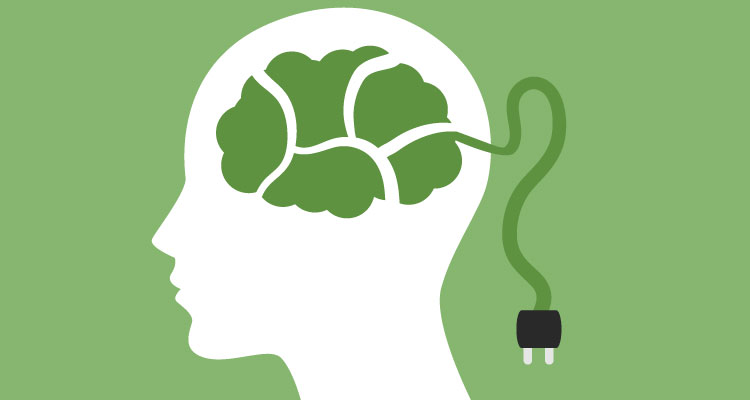 plugin and train your brain