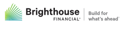 brighthouse financial